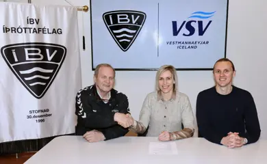 Vsvibv