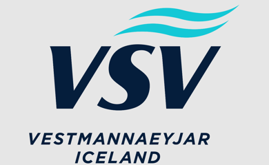 Vsv Logo Tms